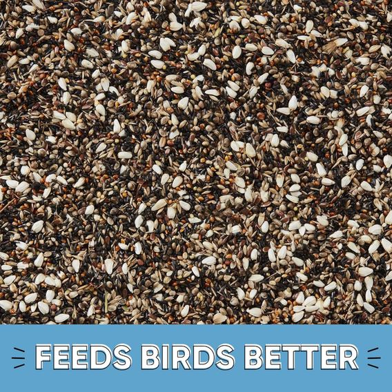 Happy Beaks - Premium Goldfinch Specialist Mix